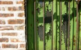 In the alley behind a transient hotel in downtown Chicago. I found this spectacular green mixed with the intense black of the bars….