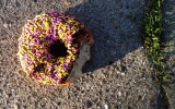 This donut was so beautiful in the setting light. On sidewalk in Berkeley CA