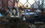 I was climbing fences to get into an abandoned warehouse on the West side of Cleveland and saw this yard with Mary.